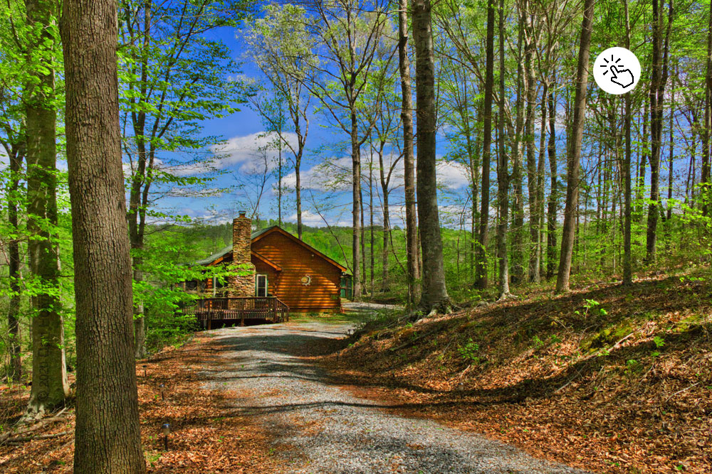 log cabin in woods