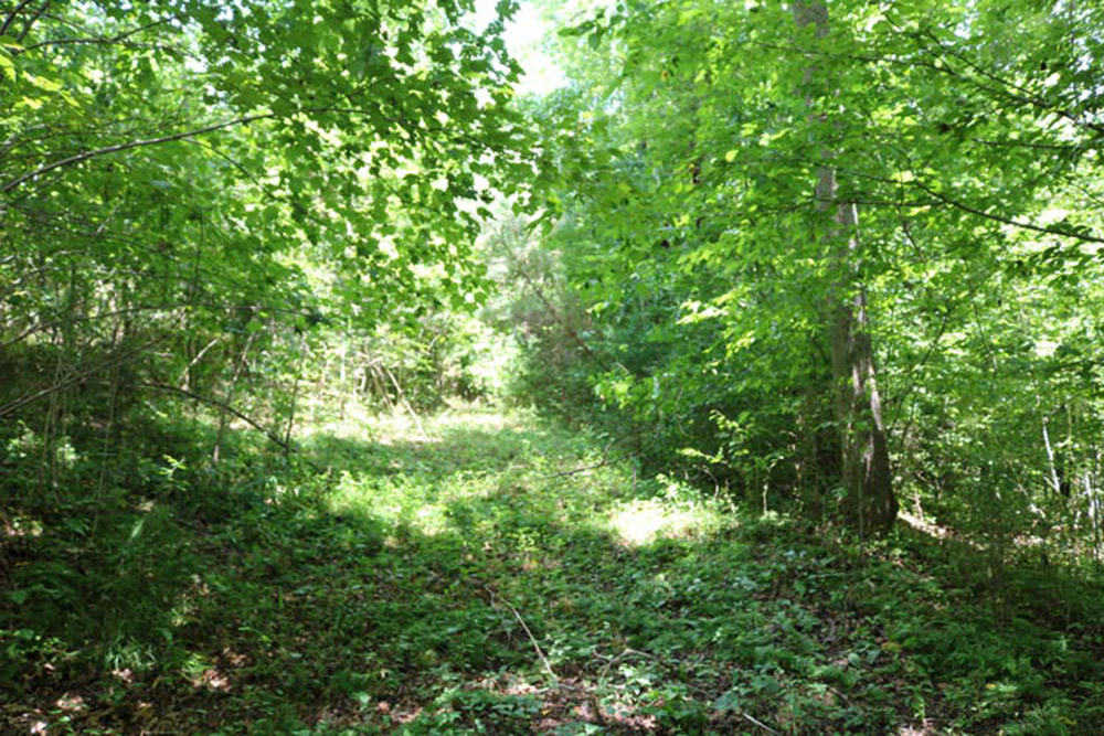 water frontage with near-level acreage in Clearwater Creek