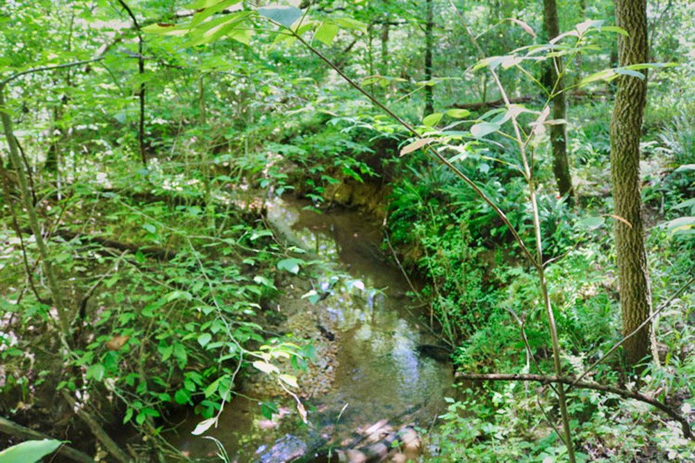 waterfront property in Rutherford County, NC