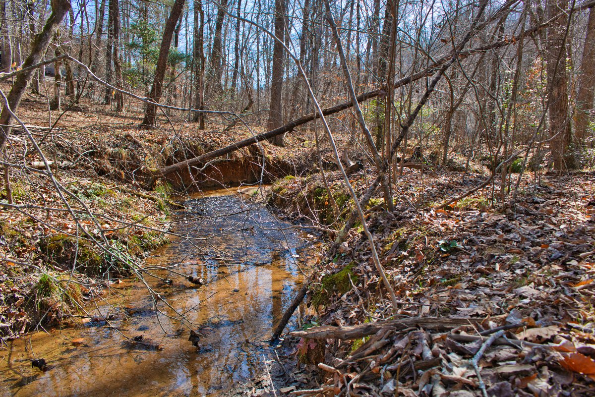 waterfront property in Rutherford County, NC