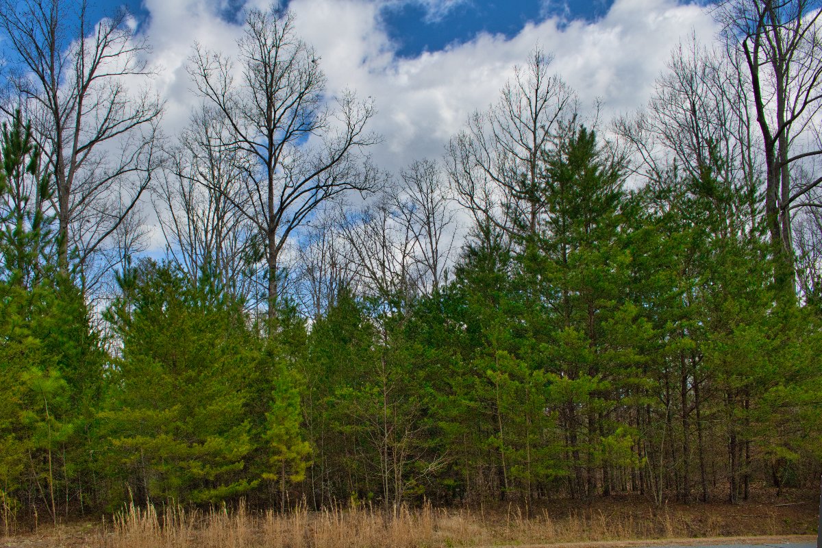 street view of lot 343 in Clearwater Creek