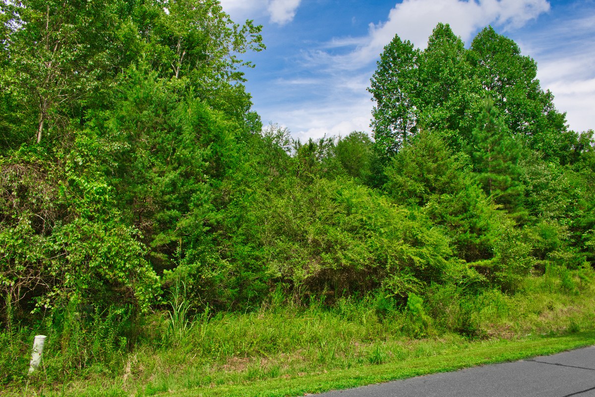 water frontage on lot 365 in Clearwater Creek