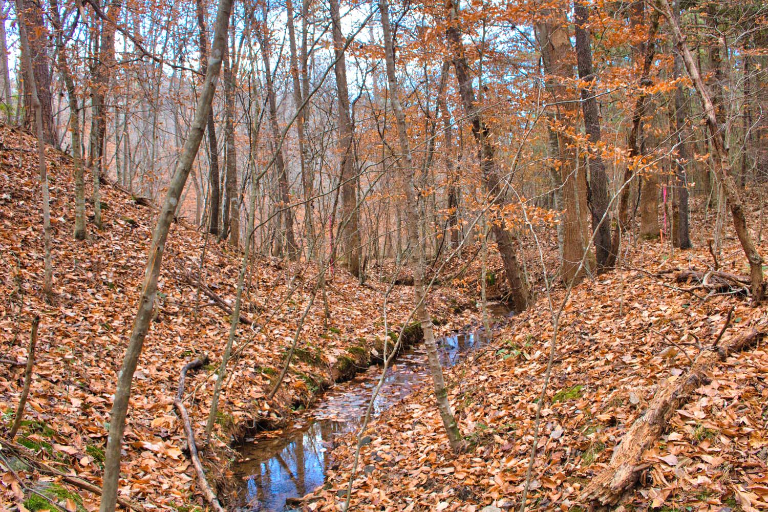 155 Northridge Dr, Rutherfordton, NC | MLS 4327966