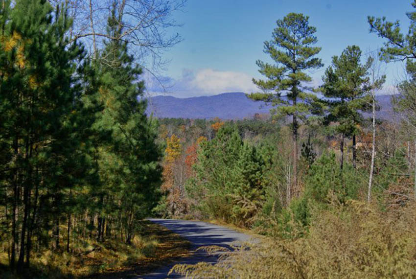 mountain views in Clearwater Creek