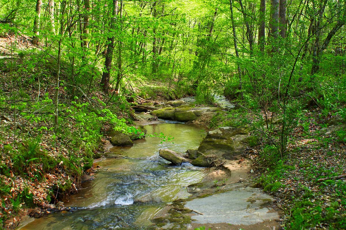 Clearwater Creek, Rutherfordton, NC