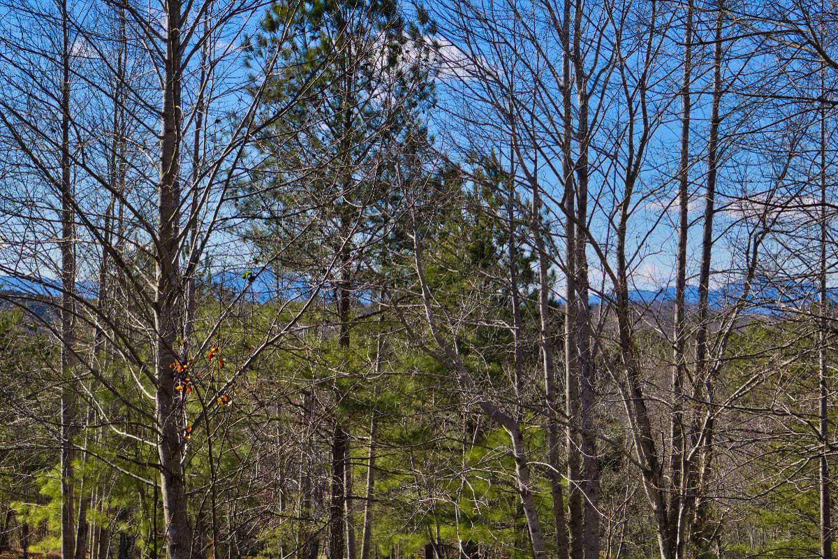 Hearthstone Ridge, Union Mills, NC