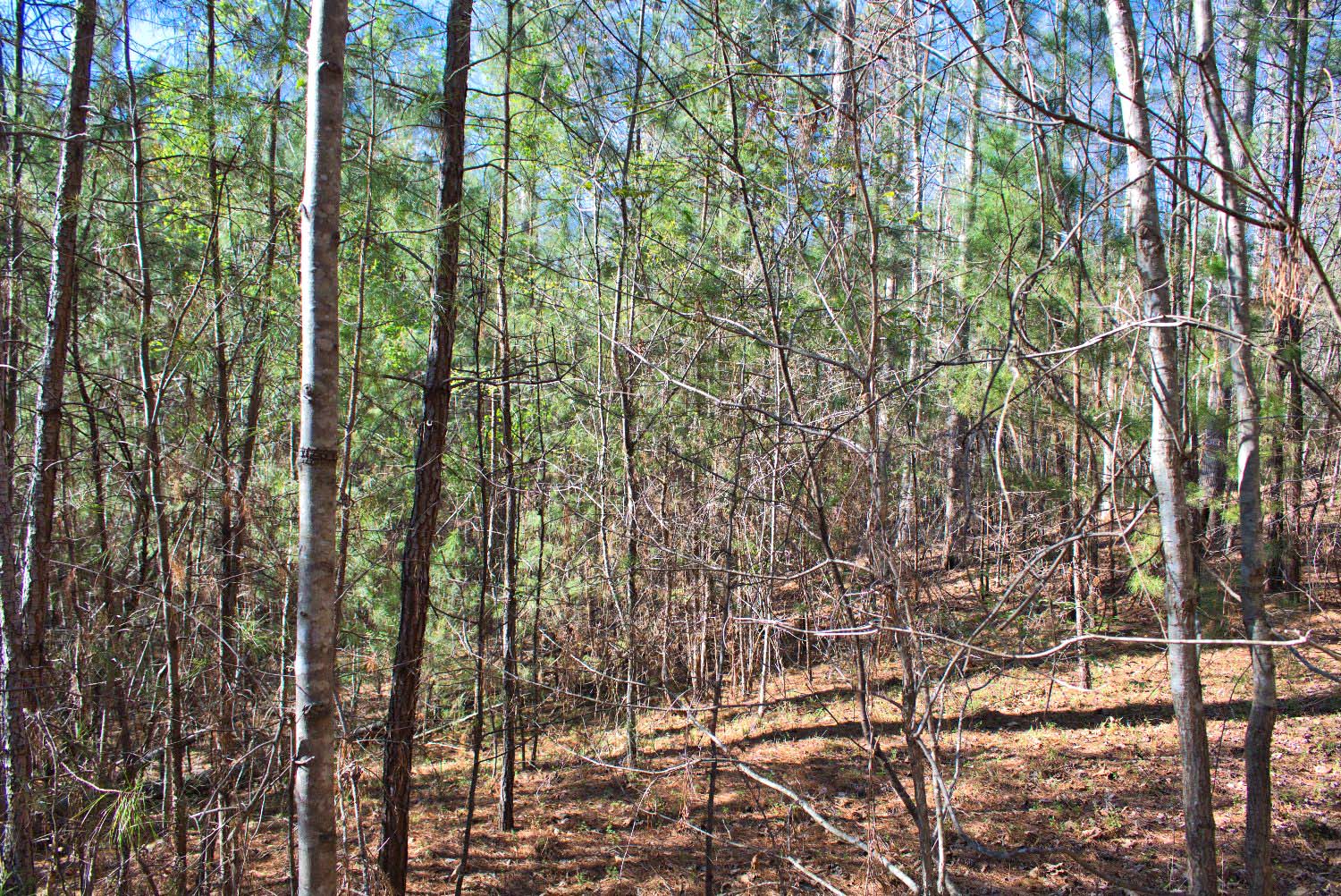 MLS #4352251 Wooded parcel in Hearthstone Ridge
