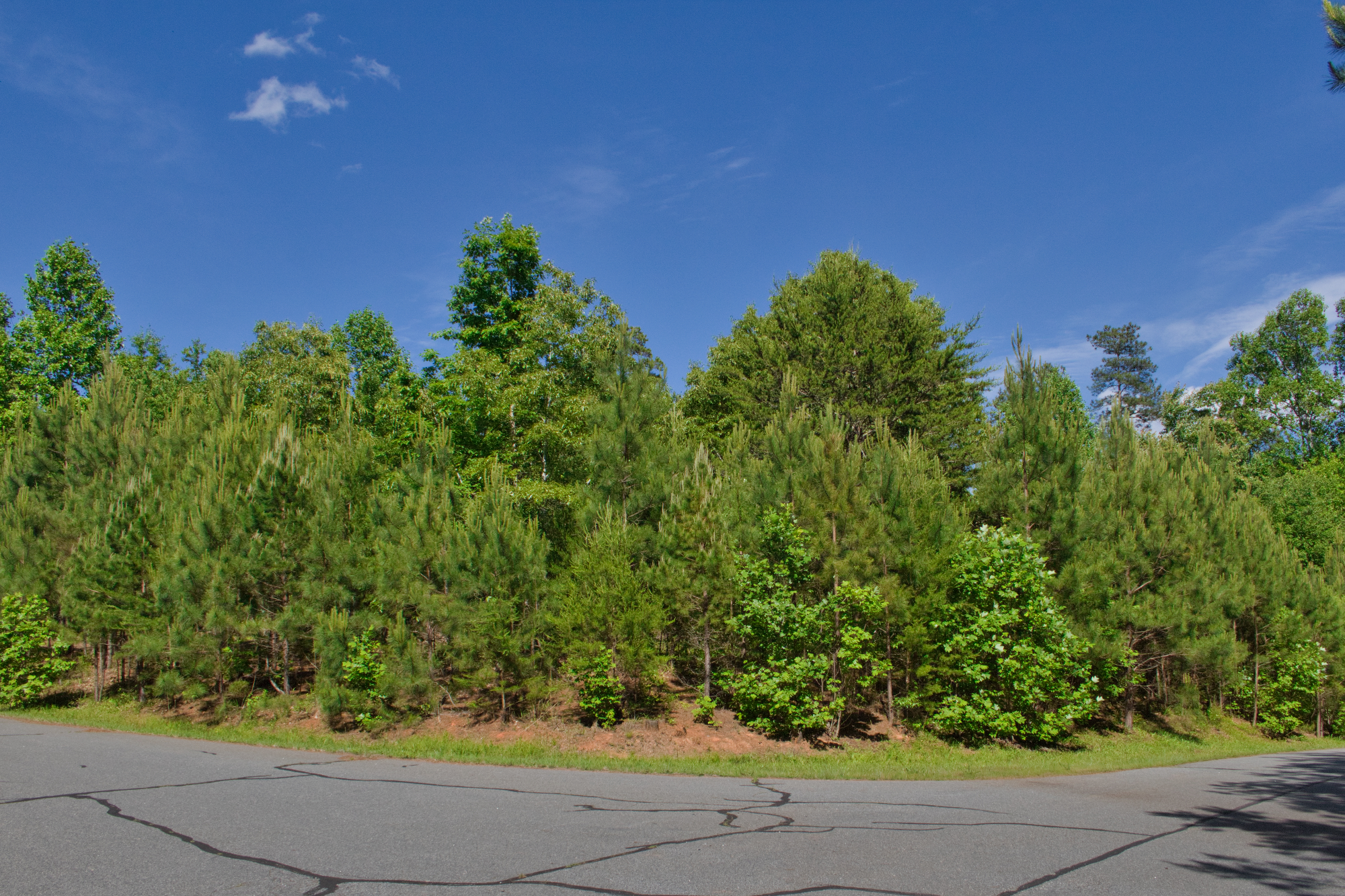 MLS #4032407 | 118 Mystic Ridge, Union Mills, NC