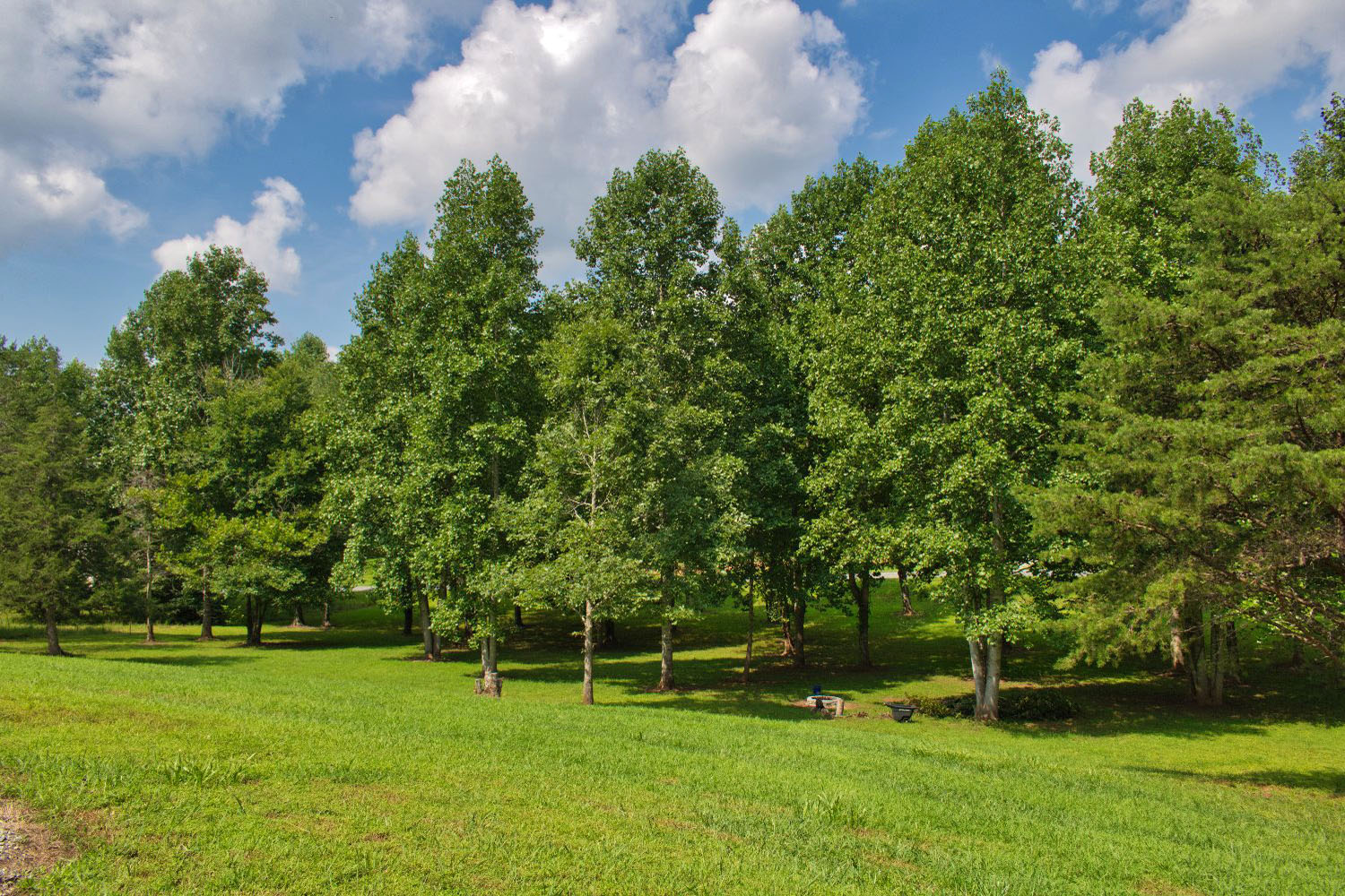 MLS #4171397 | 178 Willowby Run, Union Mills, NC