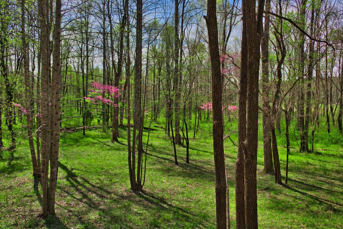 Hearthstone Ridge, Union Mills, NC