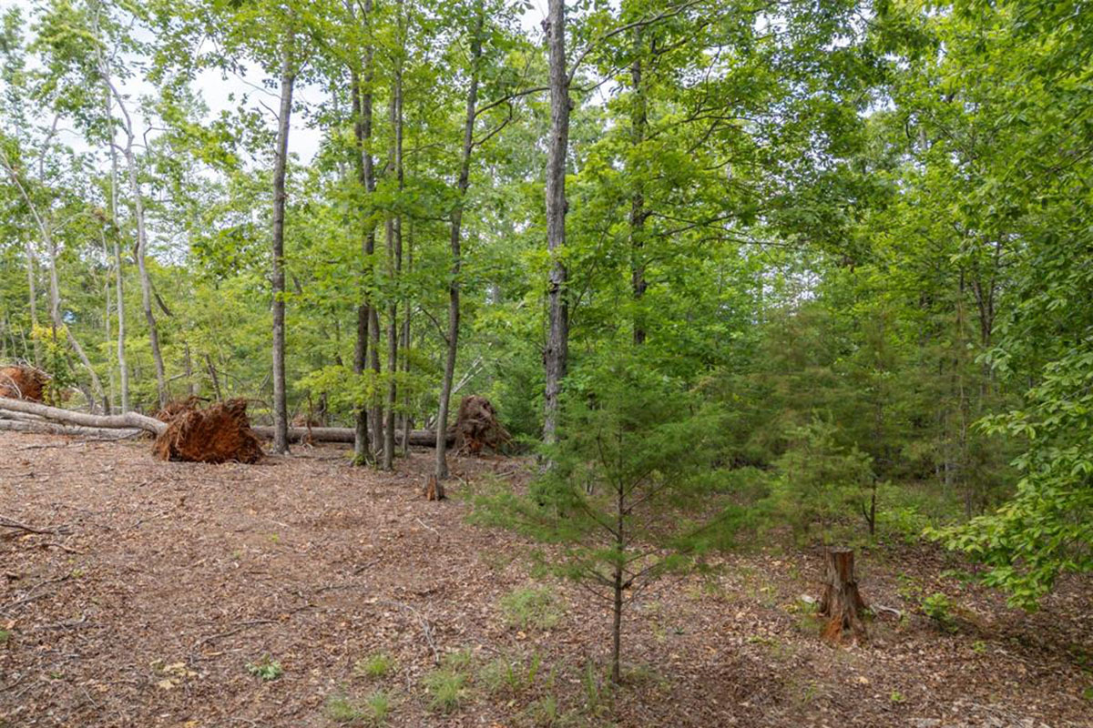 4.3 acres on ridge with mountain views, near-level build site, wildlife