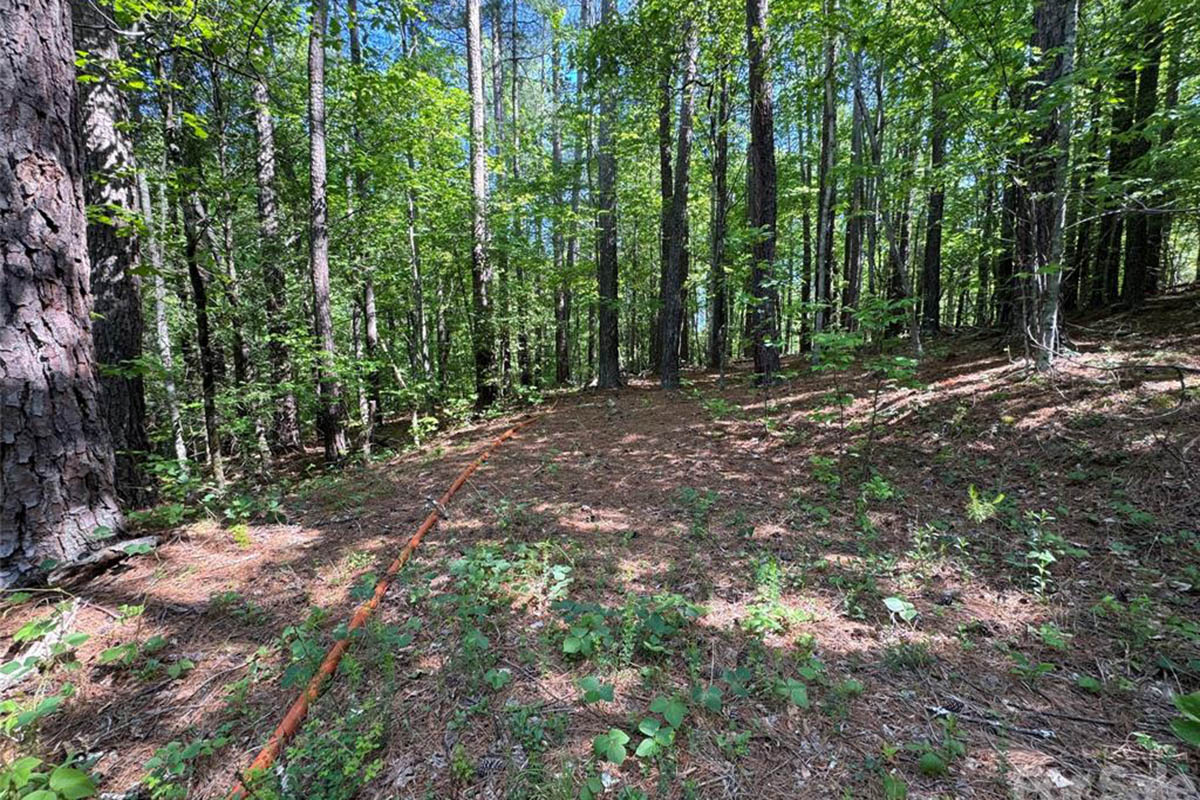 level, wooded land in The Peaks at Lake Lure