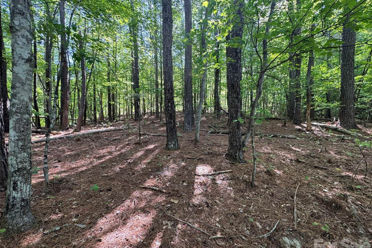 level, wooded land in The Peaks at Lake Lure
