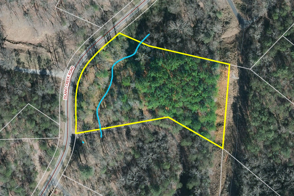 level, wooded land in The Peaks at Lake Lure