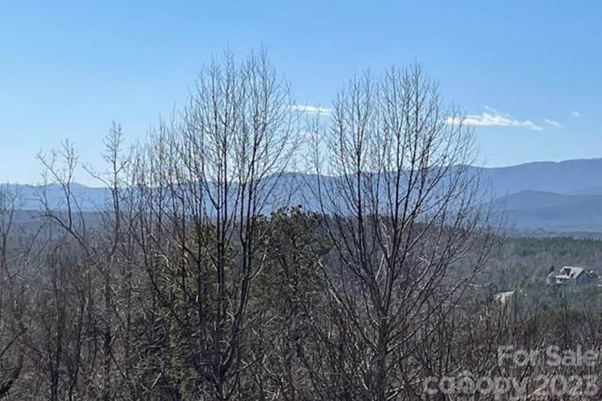 Mountain view from Lot 16 on Boulder Ridge