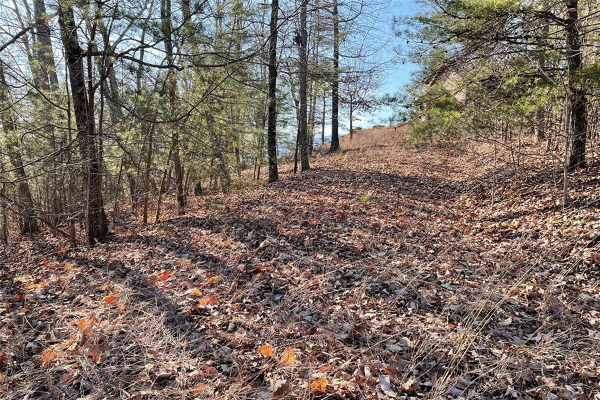 level, wooded land in The Peaks at Lake Lure