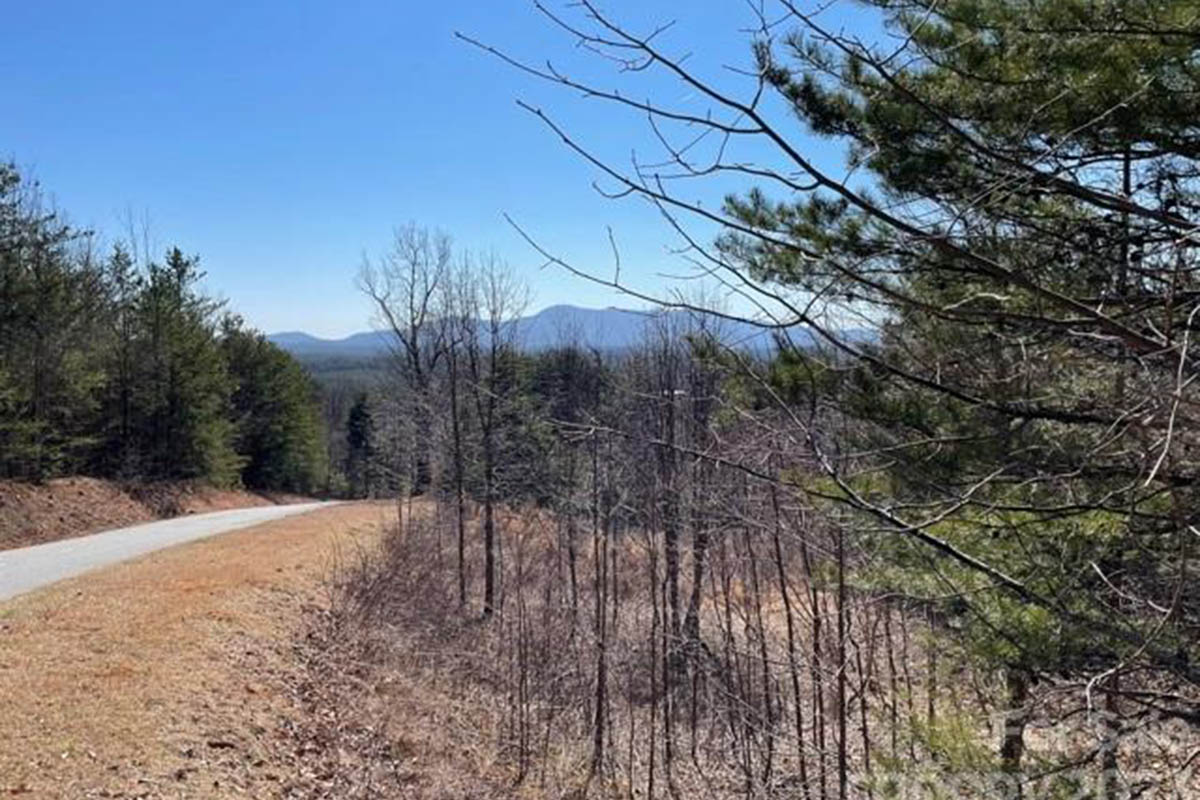 level, wooded land in The Peaks at Lake Lure