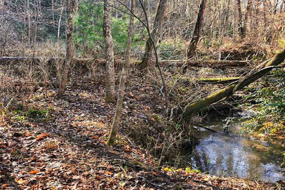 Lot 2 on Island Creek Rd in The Peaks at Lake Lure