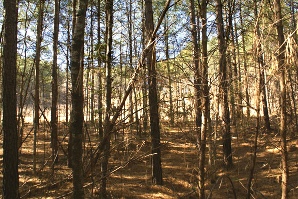 Lot 53 on Cozy Ln in The Peaks at Lake Lure