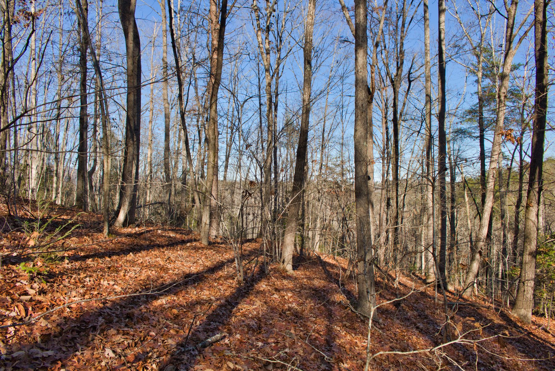 Lot 62a on Sweetbriar Rd N, Lake Lure, NC