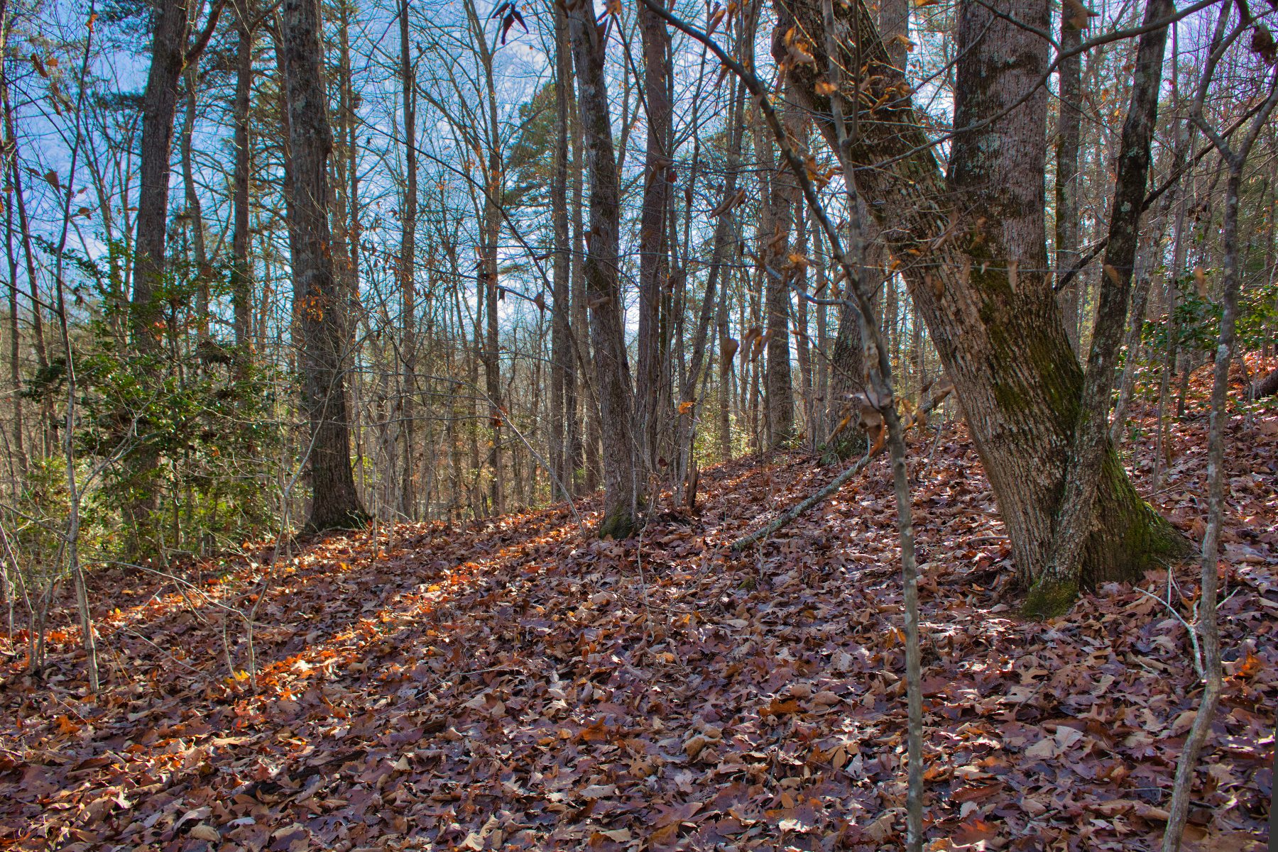 Level land on Westridge Dr, Lake Lure, NC