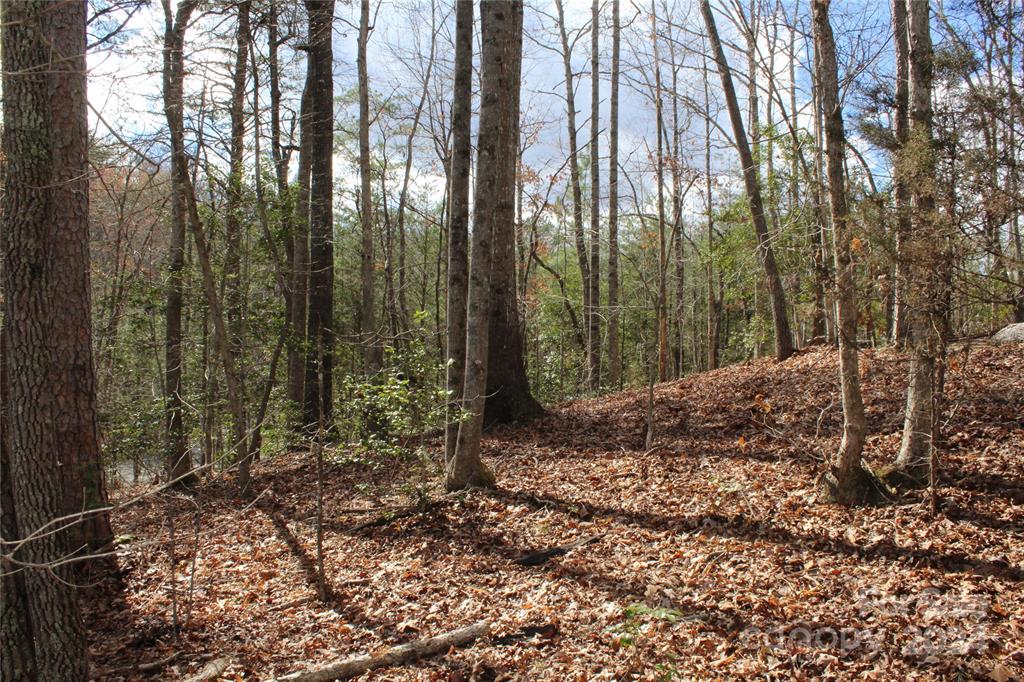 Sloped land on  Small Creek Dr, Lake Lure, NC