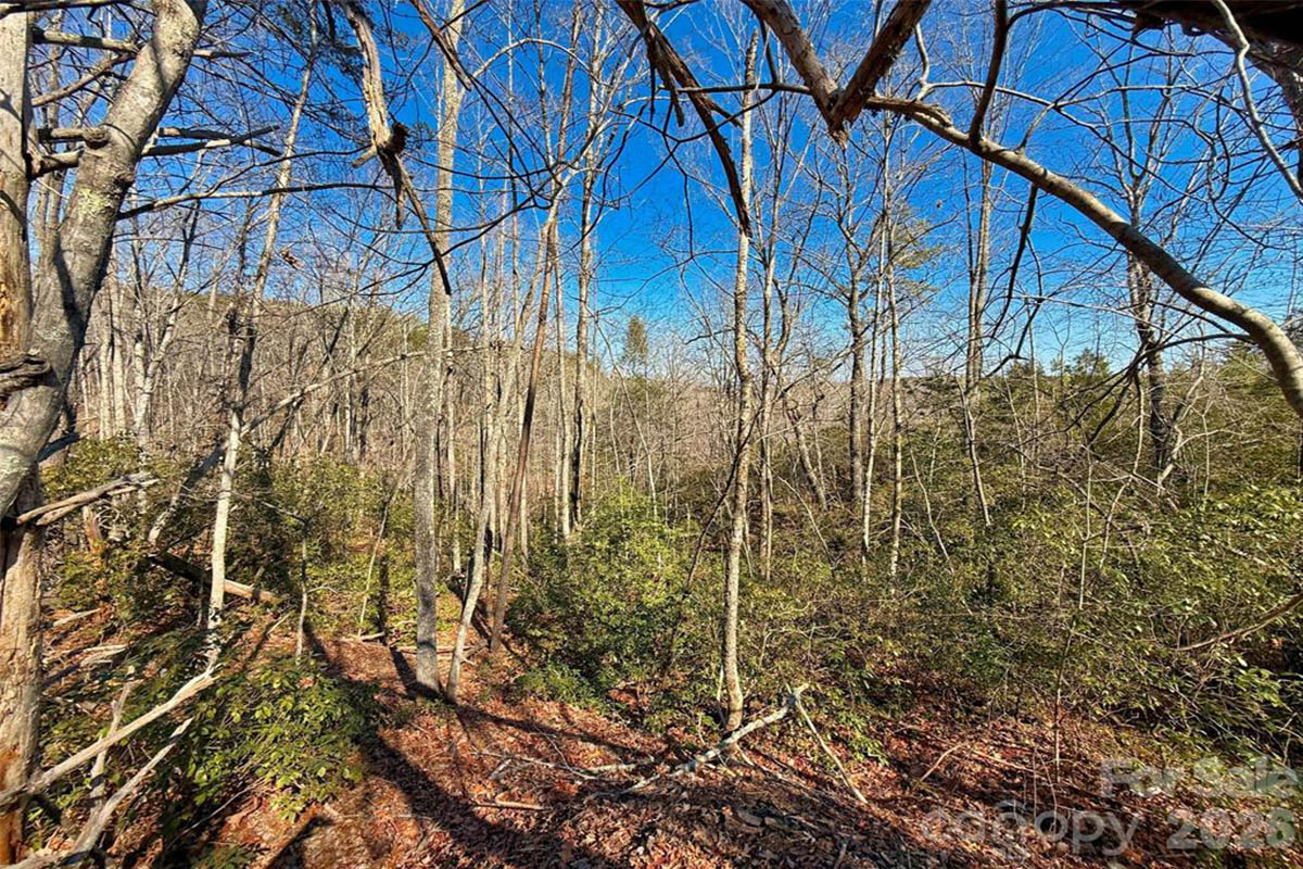 MLS 4345877 - large parcel of land on Westridge Dr in Lake Lure, NC