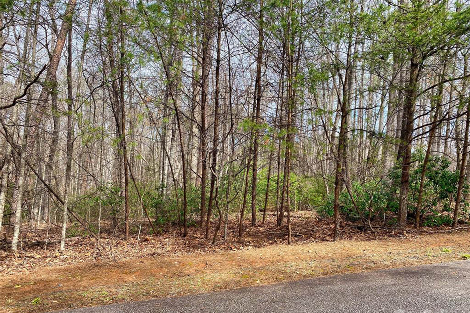 Level land on  Westridge Dr, Lake Lure, NC