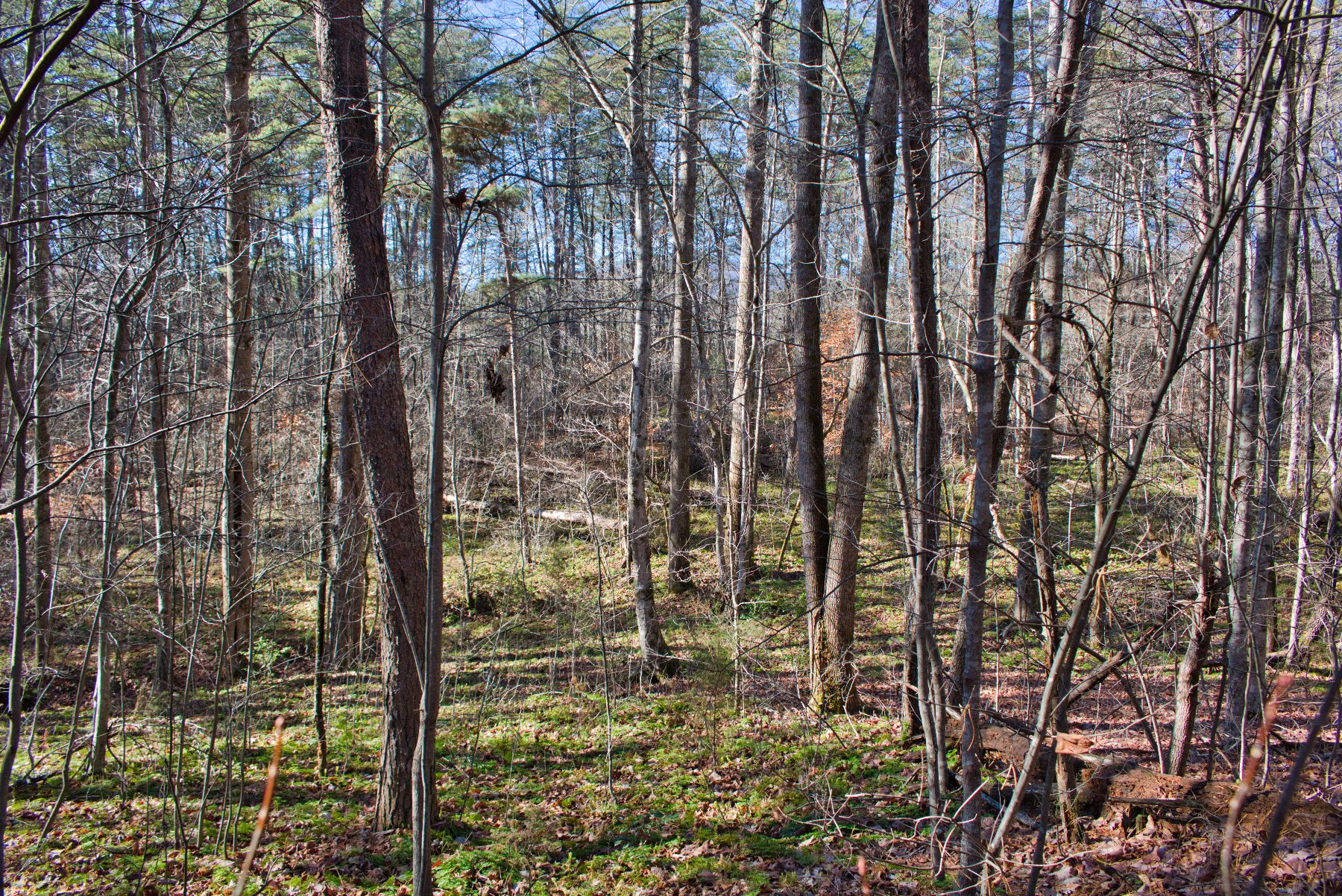 Lot 86 on Westridge Dr, Lake Lure, NC