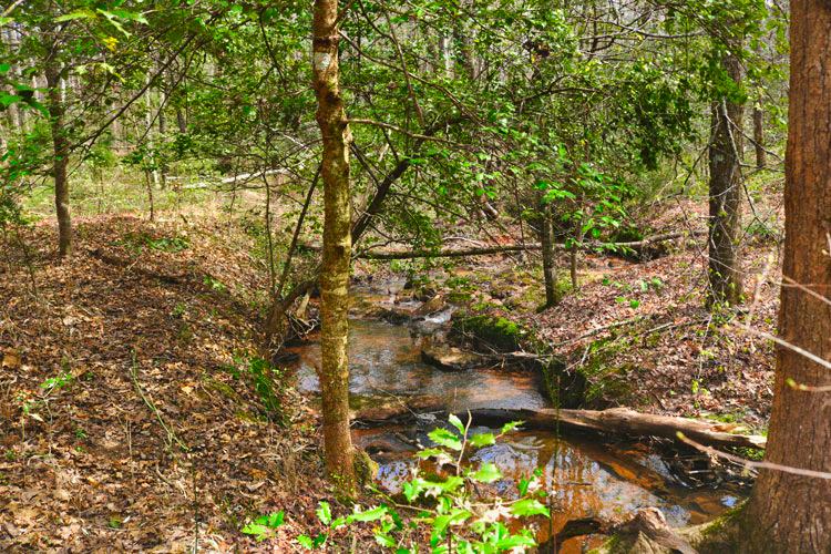 land with stream on Westridge Dr in Lake Lure, NC