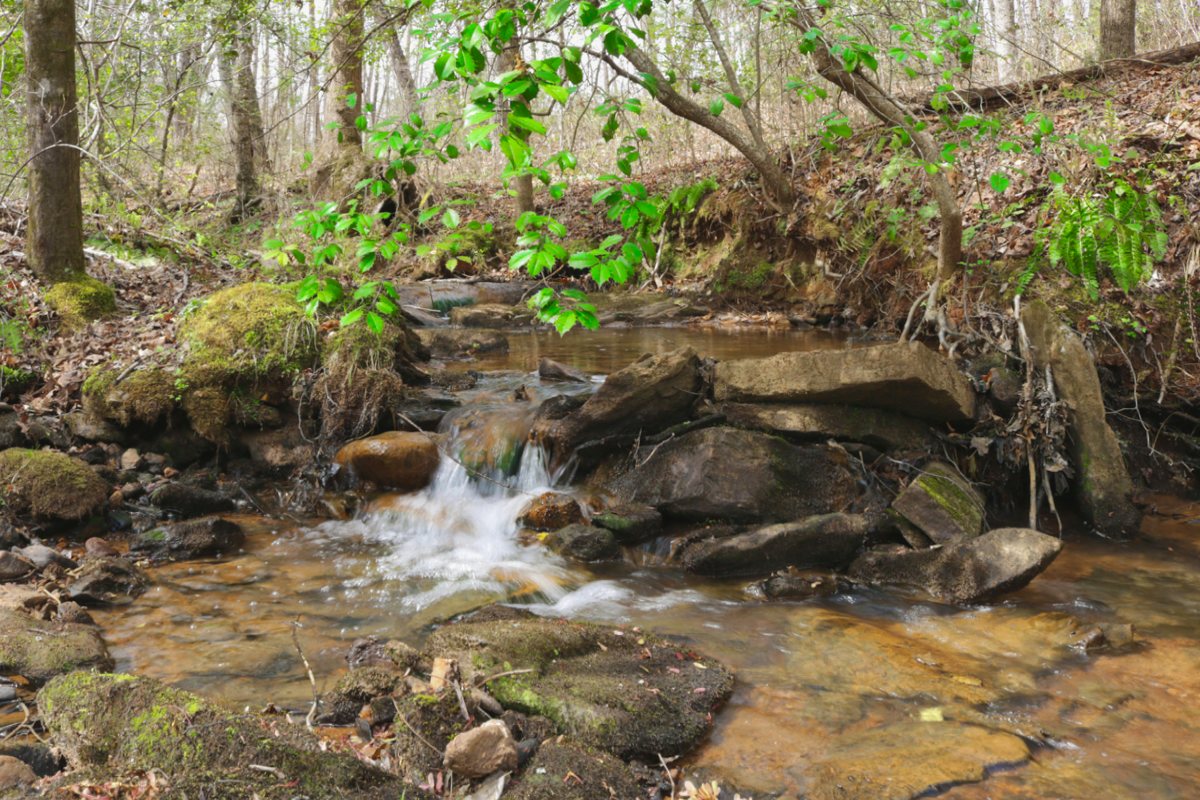 waterfront property in Rutherford County, NC