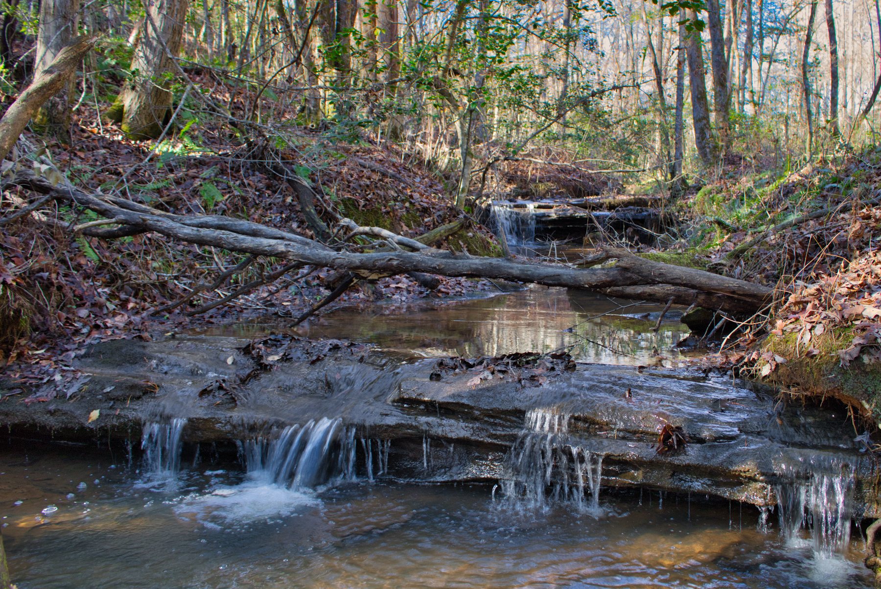 Level land on  Westridge Dr, Lake Lure, NC