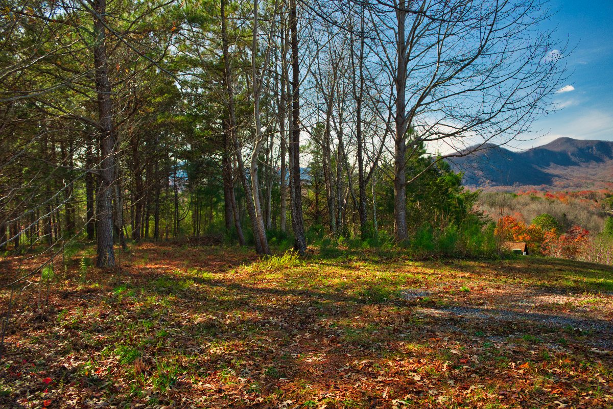 Easy Street, Tranquility at Lake Lure