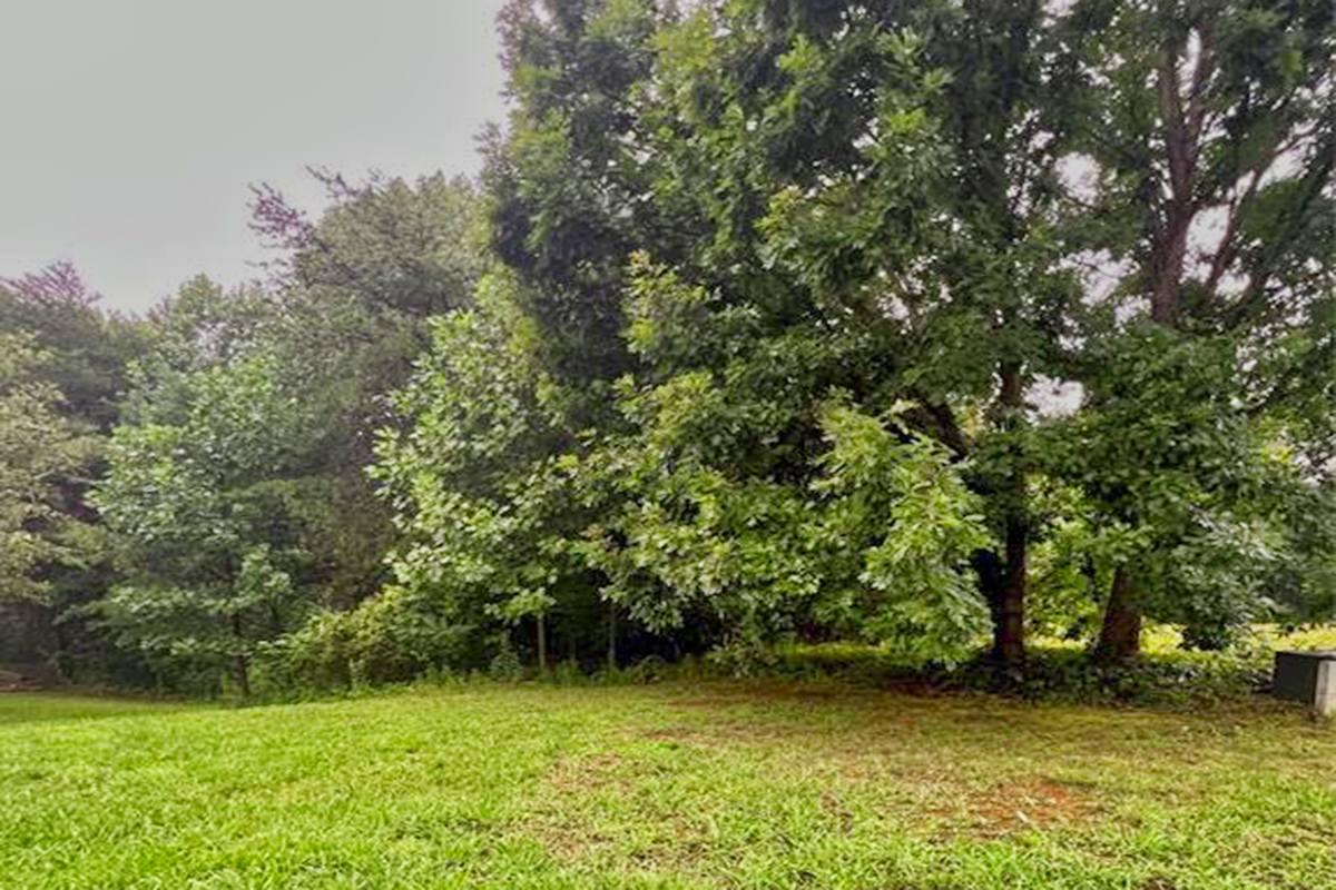 6.25 acres in Tranquility at Lake Lure community