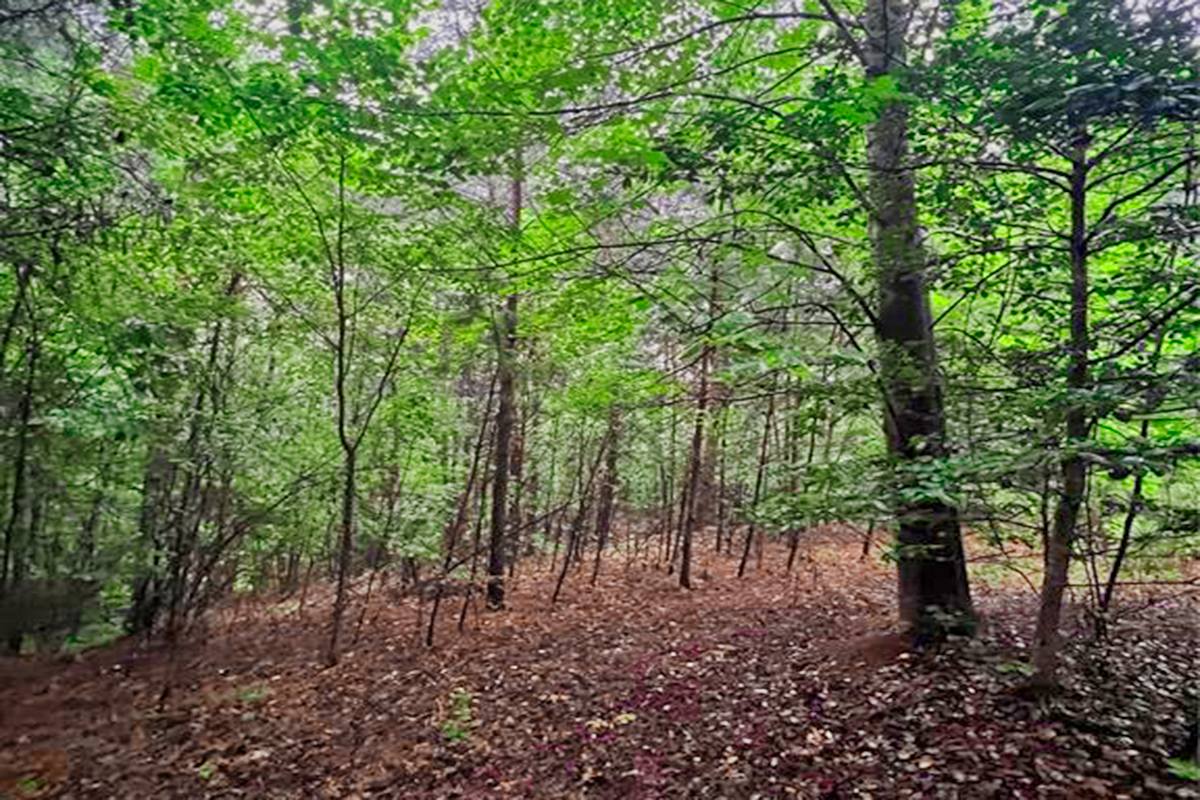 6.25 acres in Tranquility at Lake Lure community